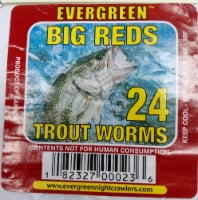 Evergreen Big Reds Trout Worms Perspective: Main
