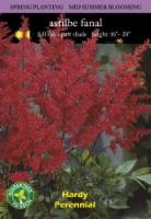 Astilbe Fanal Bulb Set Perspective: Main