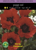 Oriental Poppy Red Seeds Perspective: Main