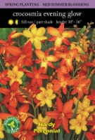 Crocosmia Evening Glow Mix Perspective: Main