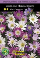 Anemone Blanda Breeze Mix Perspective: Main