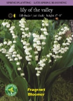 Lily Of The Valley Bulbs - White Perspective: Main