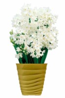 Paperwhite Ziva Bulbs Perspective: Main