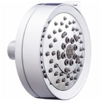 Danze Shower Head,Cylinder,2.0 gpm  D460055