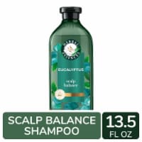 Herbal Essences bio:renew Aloe + Eucalyptus Sulfate Free Shampoo