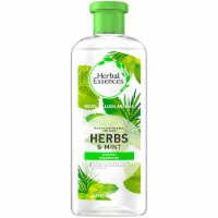 Herbal Essences Herbs & Mint Daily Detox Quench Shampoo Perspective: Main