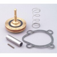 Dayton Valve Rebuild Kit,With Instructions  066060