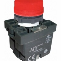 Dayton Pilot Light,LED,22mm,24VAC/DC,RD,Plastic  30G210