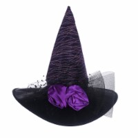 Seasons Purple and Black Witch Hat Adult Halloween Costume Accessory Perspective: Main