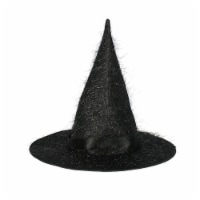 Seasons Witch Hat Adult Halloween Costume Accessory - Black Perspective: Main