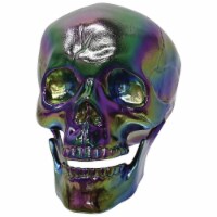 Crazy Bonez Oil Slick Iridescent Finish Skull Metallic Horror Halloween Decor Display Seasons