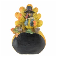 Northlight 8.25” Autumn Harvest Thanksgiving Turkey Chalkboard Decorative Table Top Figurine