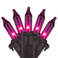 Northlight 100-Count Purple Mini Incandescent Halloween Light Set, 20.25ft Black Wire