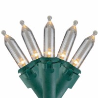 Northlight 100-Count Warm White LED Mini Christmas Lights, 33ft Green Wire