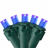 Northlight 50 Blue LED Wide Angle String Christmas Lights - 17.5 ft Green Wire