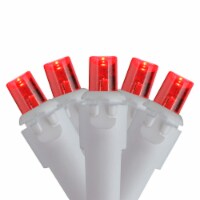Northlight 50 Red LED Wide Angle Mini Christmas Lights - 16.25 ft White Wire