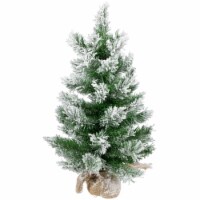 Northlight 22 Flocked Pine Full Artificial Christmas Tree in Burlap Base - Unlit Perspective: Main