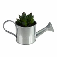 Northlight 32738385 6 in. Tropical Mini Artificial X Pachyveria Succulent with Watering Can