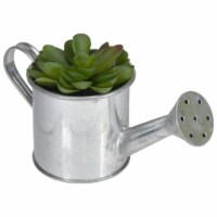 Northlight 32738483 6 in. Potted Artificial Mini Echeveria Succulent with Watering Can