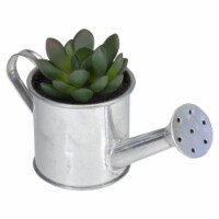 Northlight 32738482 6 in. Tropical Artificial Rose Succulent with Water Can