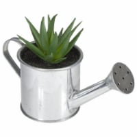 Northlight 32738487 6 in. Artificial Mini Aloe Vera Succulent Plant with Watering Can