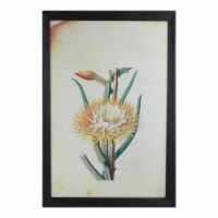Northlight 32733196 26 in. Yellow & Green Desert Baileya Flower with Black Photo Frame