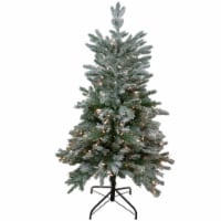 Northlight Real Touch™️ Pre-Lit Flocked Whistler Noble Fir Artificial Christmas Tree - 4.5' -