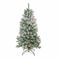 Northlight 4.5' Pre-Lit Medium Flocked Winema Pine Artificial Christmas Tree - Clear Lights Perspective: Main