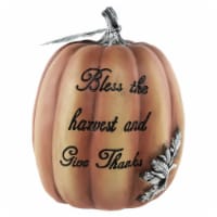 Northlight 10 Orange Bless the Harvest Pumpkin Fall Tabletop Decoration