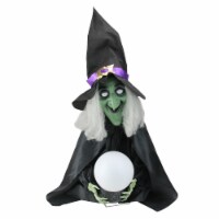 Northlight 26 Pre-Lit Sitting Fortune Witch with Magic Ball Halloween Decoration