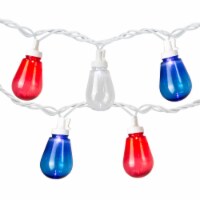Northlight 10ct Red, White and Blue LED Edison Style Lights, 9ft White Wire
