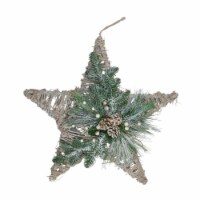 Northlight 24  Green, Gray, and Brown Frosted Mixed Pine Hanging Star Christmas Ornament