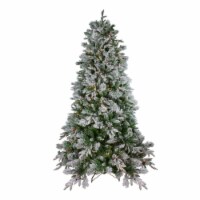 Northlight Real Touch™️ Pre-Lit Flocked Rosemary Emerald Angel Pine Artificial Christmas Tree Perspective: Main