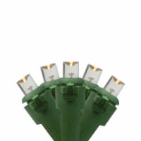 Northlight 20 Battery Operated Warm White Wide Angle LED Christmas Lights - 9.5 ft, Green