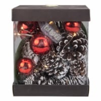Northlight 7 LED Lighted Magnolia Leaf, Pinecone and Red Ball Ornaments Christmas