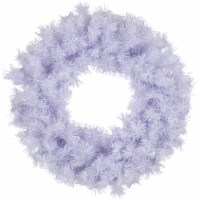 Northlight Icy White Iridescent Spruce Artificial Christmas Wreath - 18-Inch, Unlit
