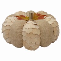 Northlight 9 Brown Autumn Harvest Tabletop Pumpkin