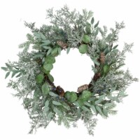 Northlight Frosted Green Mixed Foliage and Blueberries Artificial Christmas Wreath, 26-Inch,