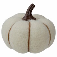 Northlight 5 Cream and Brown Fall Harvest Tabletop Pumpkin
