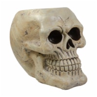 Northlight 11 Ivory and Black Halloween Skull Tabletop Decoration