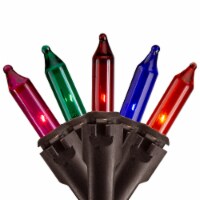 Northlight 100ct Multi-Color Mini Christmas Lights - 35ft, Brown Wire