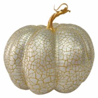 Northlight 9 Champagne Gold Crackled Fall Harvest Pumpkin Decoration
