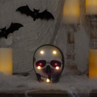 Northlight 7 Lighted Black and Red Skull Halloween Decoration