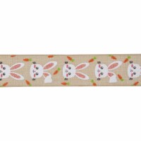Northlight Natural Brown Spring Easter Wired Craft Ribbon 2.5 x 10 Yards