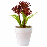 Northlight 34806619 8 in. Succulent Fern Ceramic White Pot