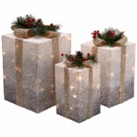 Northlight Set of 3 Silver Mesh Glittered Gift Boxes Outdoor Decorations