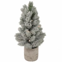 Northlight 16  LED Lighted Mini Frosted Pine Christmas Tree in Cement Base