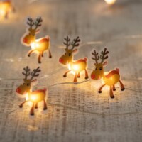 Northlight 20-Count LED Reindeer Micro Christmas Light Set 6ft, Clear Wire