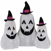 Northlight Set of 3 LED Lighted White Pumpkins Outdoor Halloween Decorations 23.5