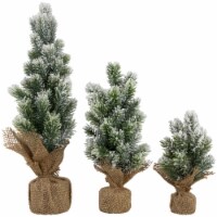Northlight Mini Flocked Pine Artificial Christmas Trees with Burlap Base - 18 - Set of 3 Perspective: Main